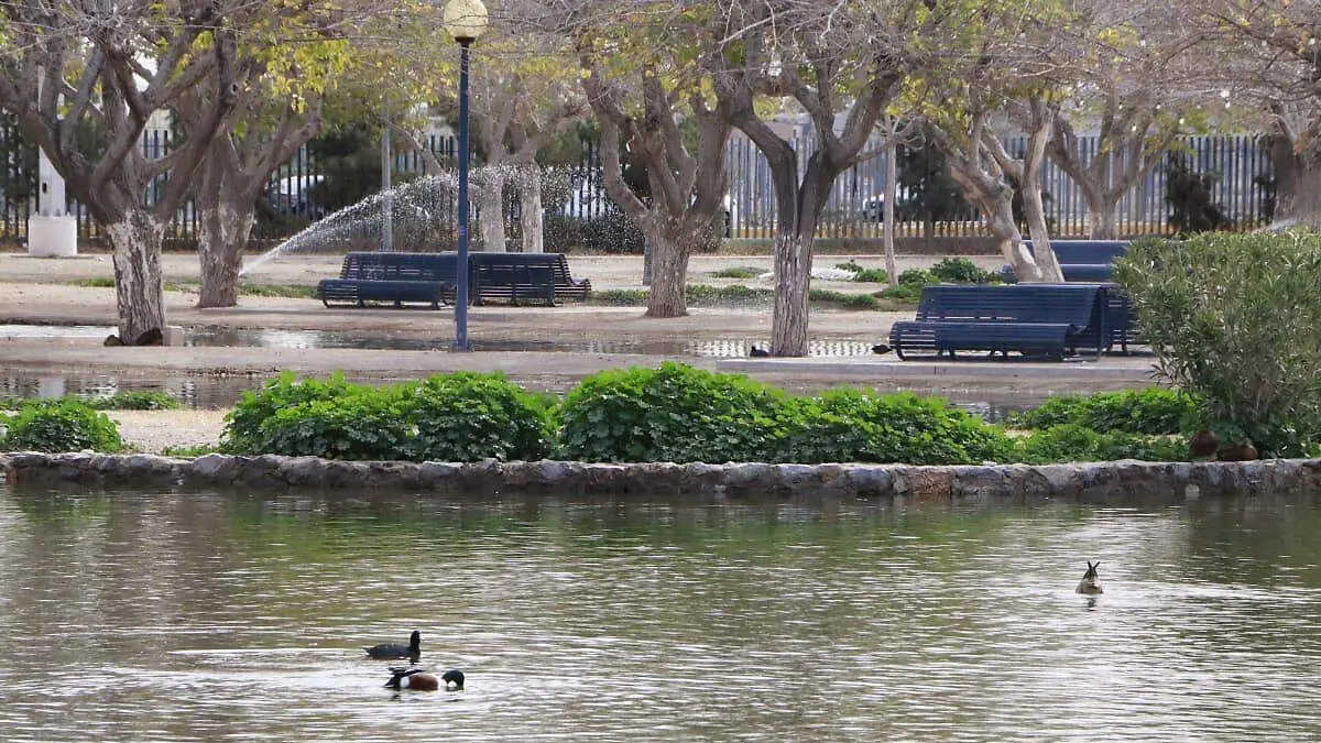 341d31c8-8b0b-4729-bd8d-6b0677406ef2