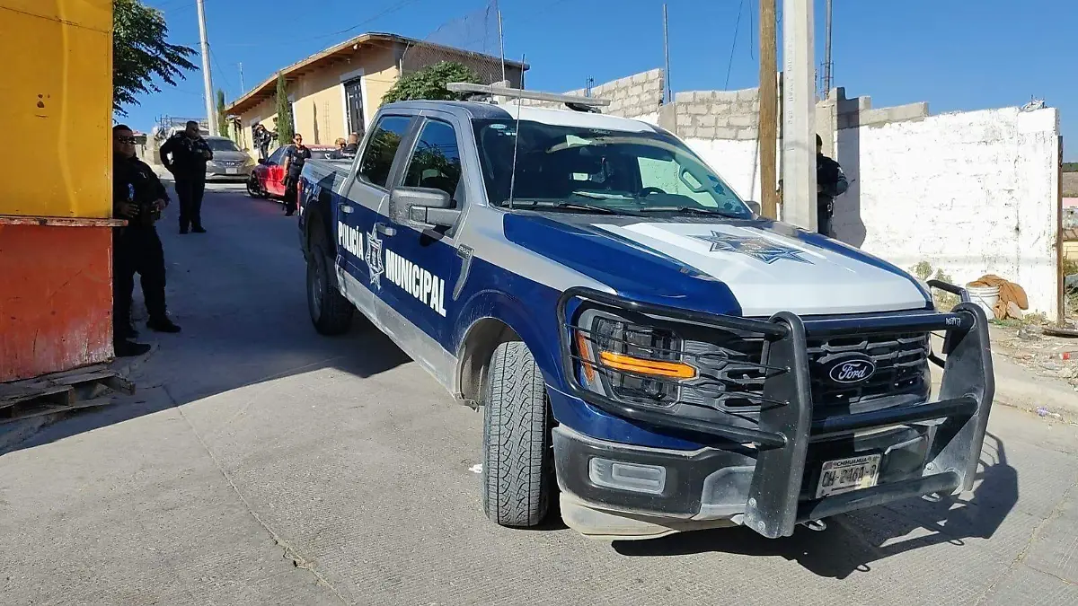 10083574-1131-4317-b703-82e9dd2f022c