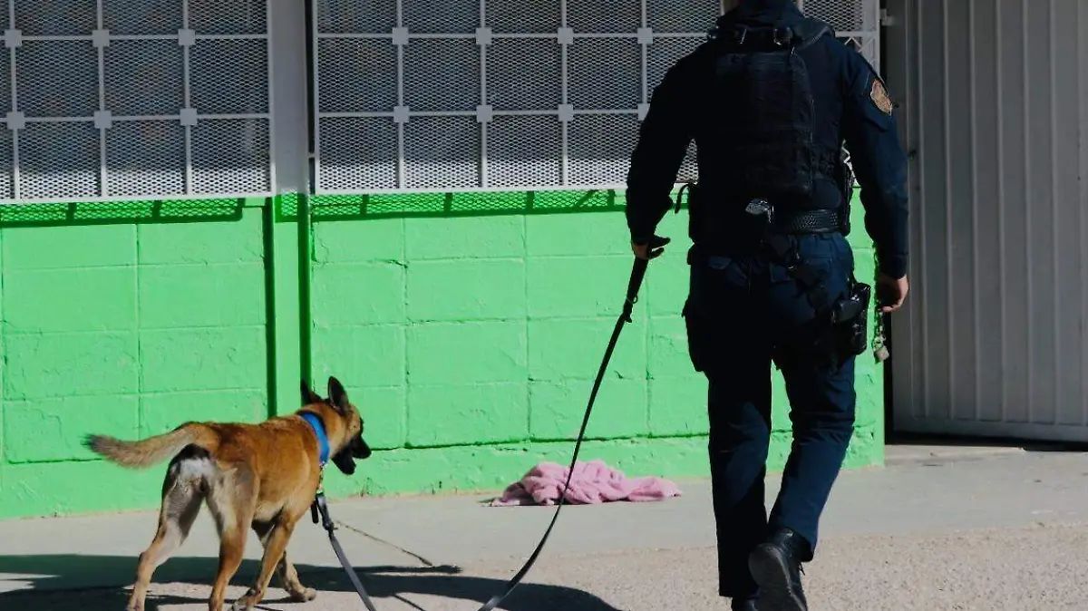 a8aeb6c6-9f21-4356-b972-c9e3eff2047d