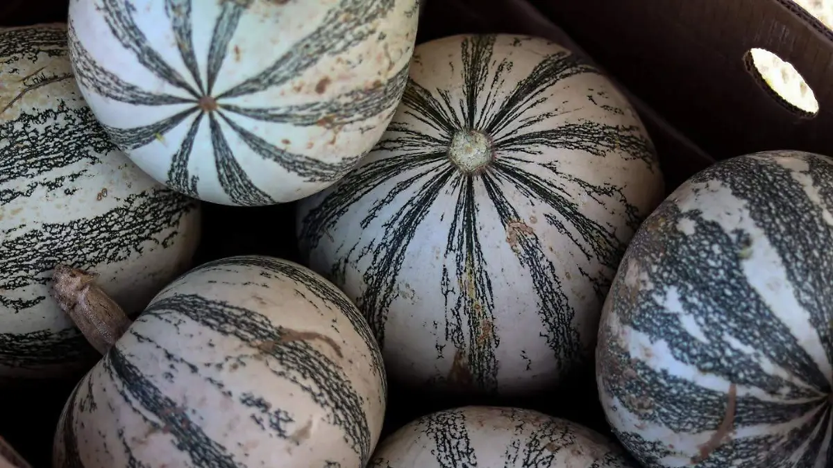 hortalizas parque central 2