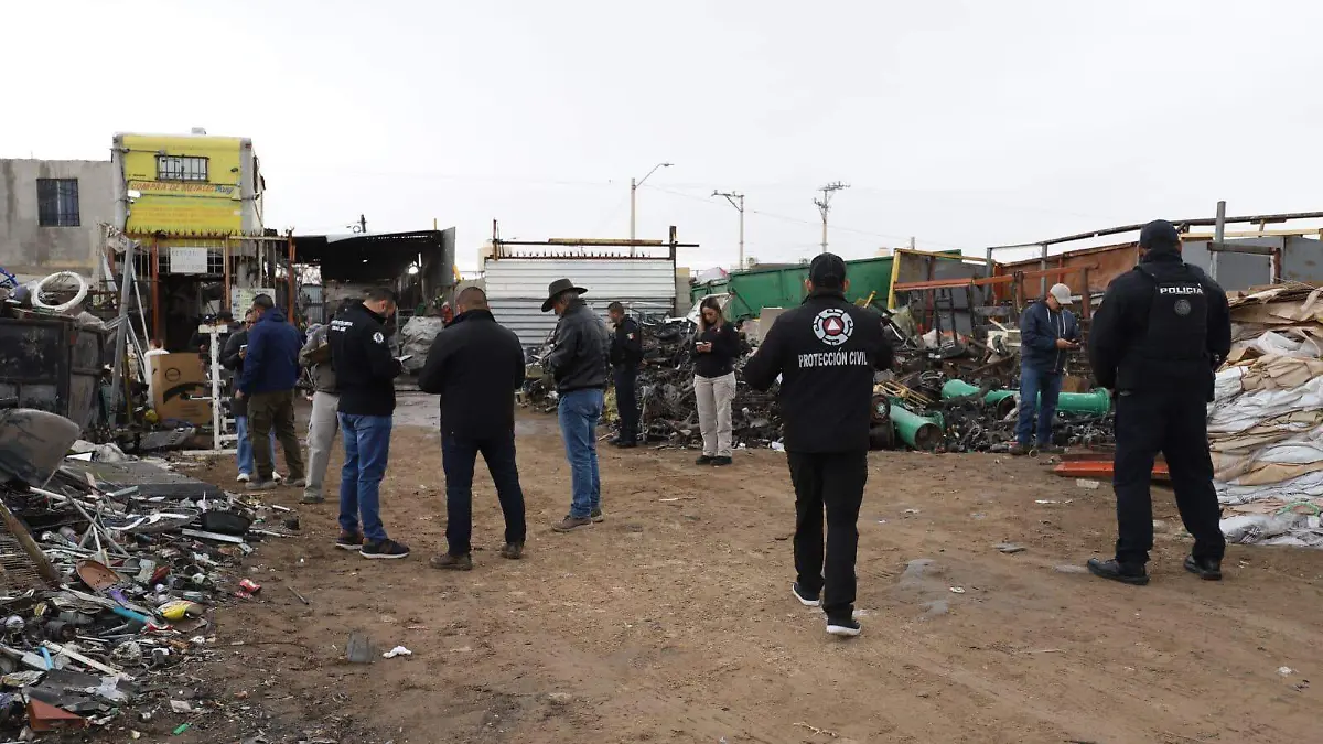 Refuerza Ecología fumigaciones contra la garrapata en colonias y parques de la ciudad