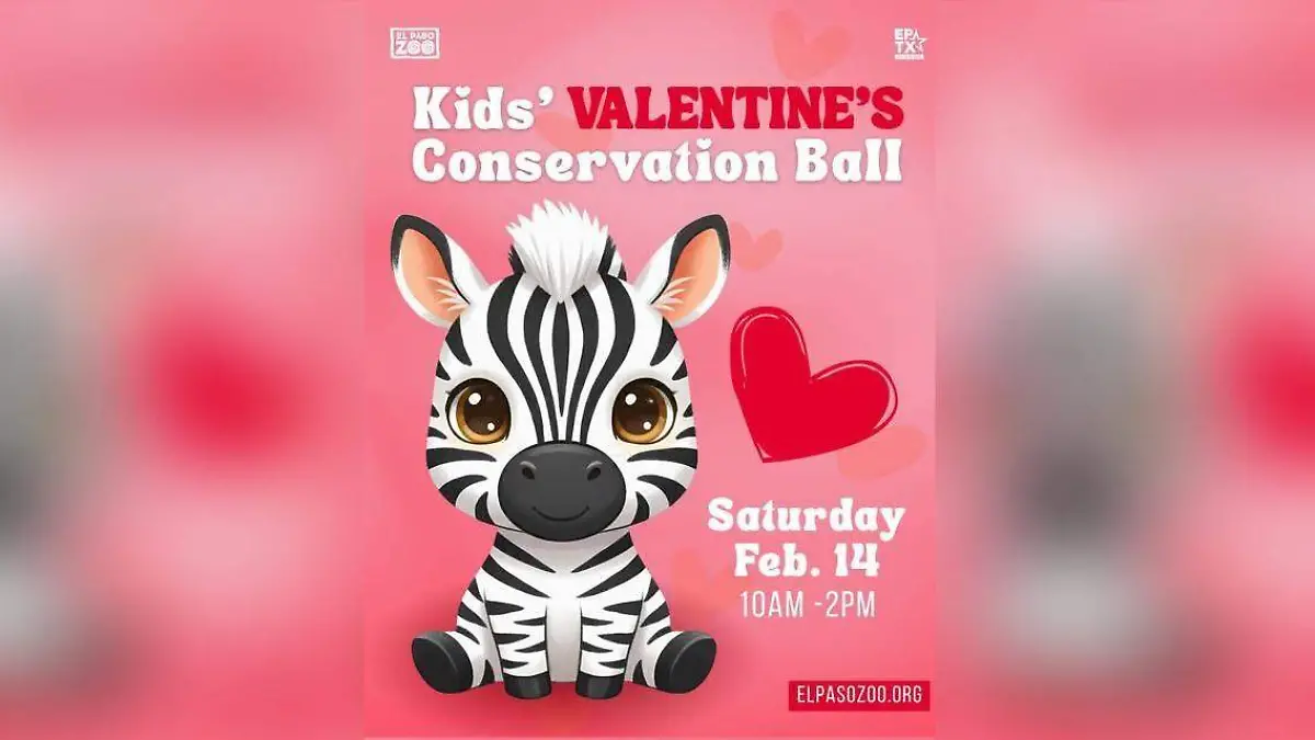 WhatsApp Image 2026-01-25 at 5.00.14 PM (1)