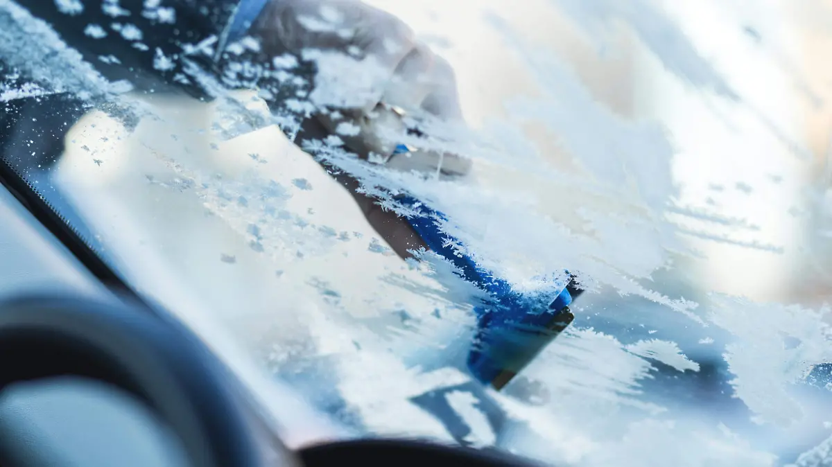 freestocks.org Pexels.com