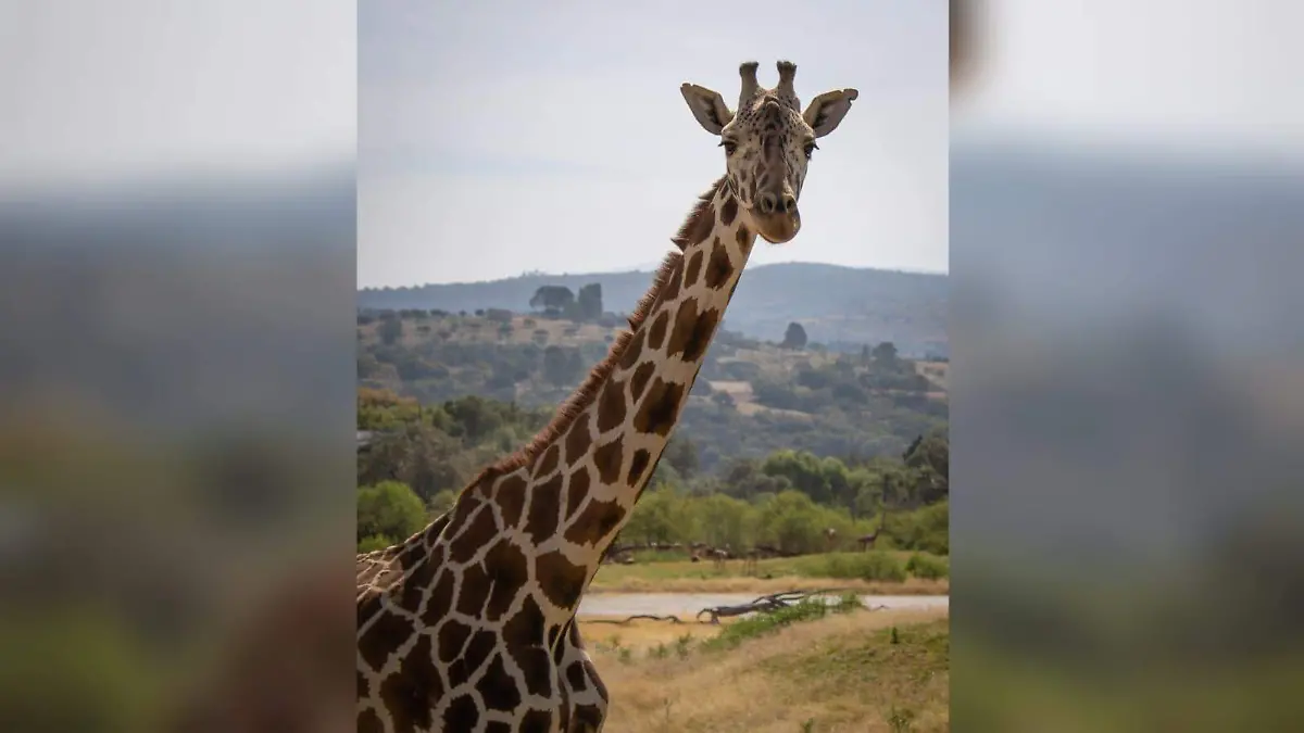 WhatsApp Image 2026-01-27 at 6.08.23 PM