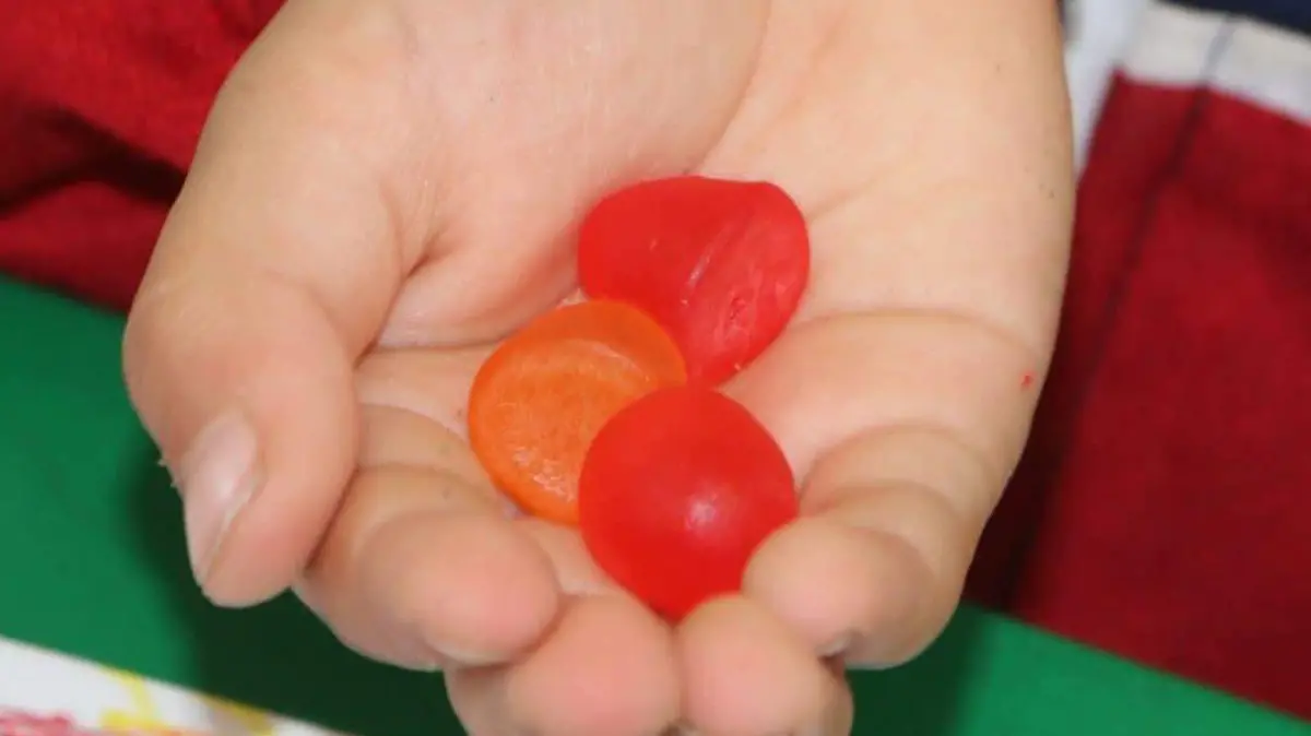 WhatsApp Image 2026-01-28 at 8.15.10 PM