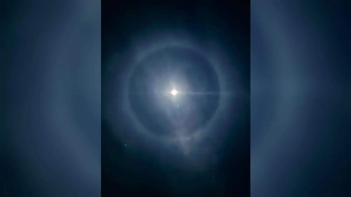 WhatsApp Image 2026-01-30 at 8.10.19 PM