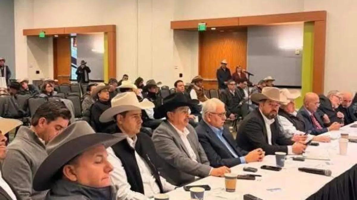 3e2a991d-c3ec-4d2f-b8b6-2ac42bccff12