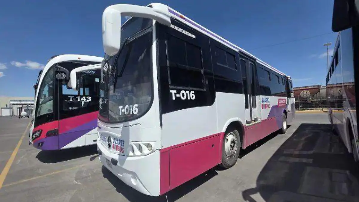 WhatsApp Image 2026-02-01 at 1.55.16 PM