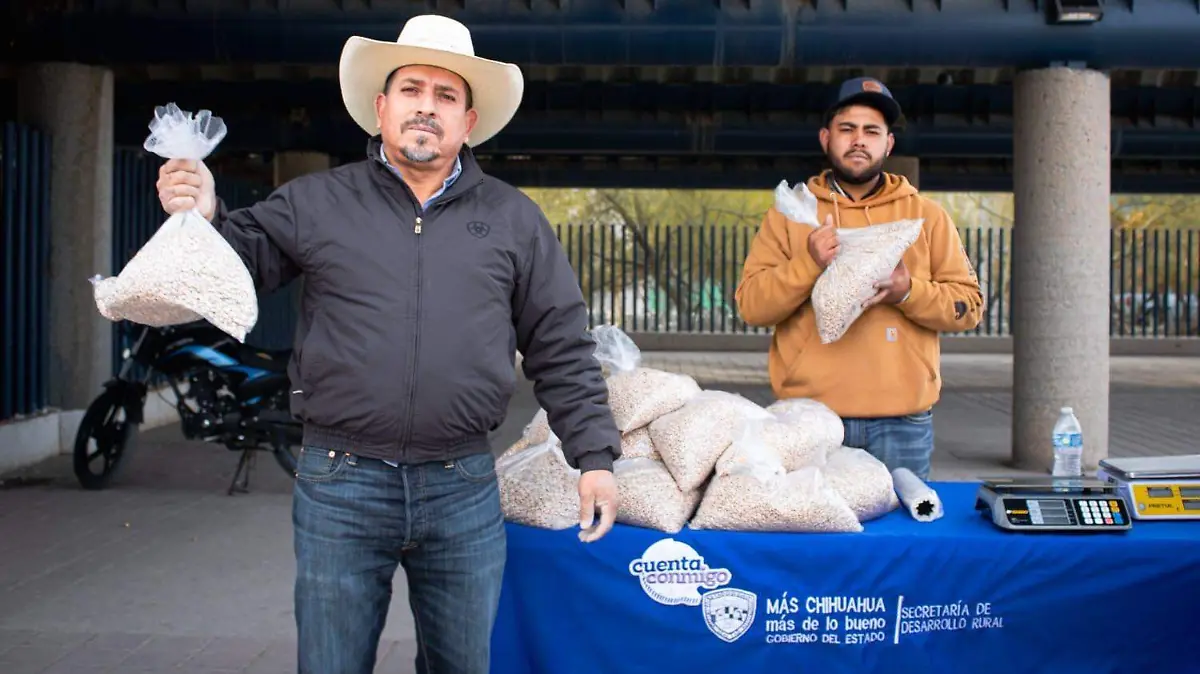 b7ac6501-3456-4d85-b9c2-a4ad9e1ef071