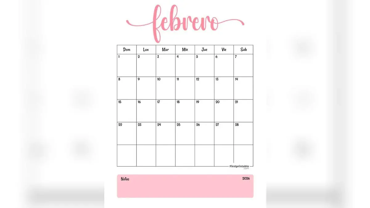 WhatsApp Image 2026-02-05 at 4.11.53 PM