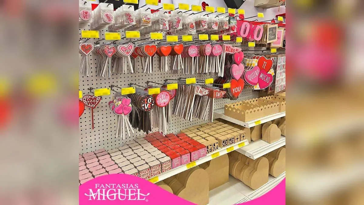 WhatsApp Image 2026-02-06 at 2.28.17 PM