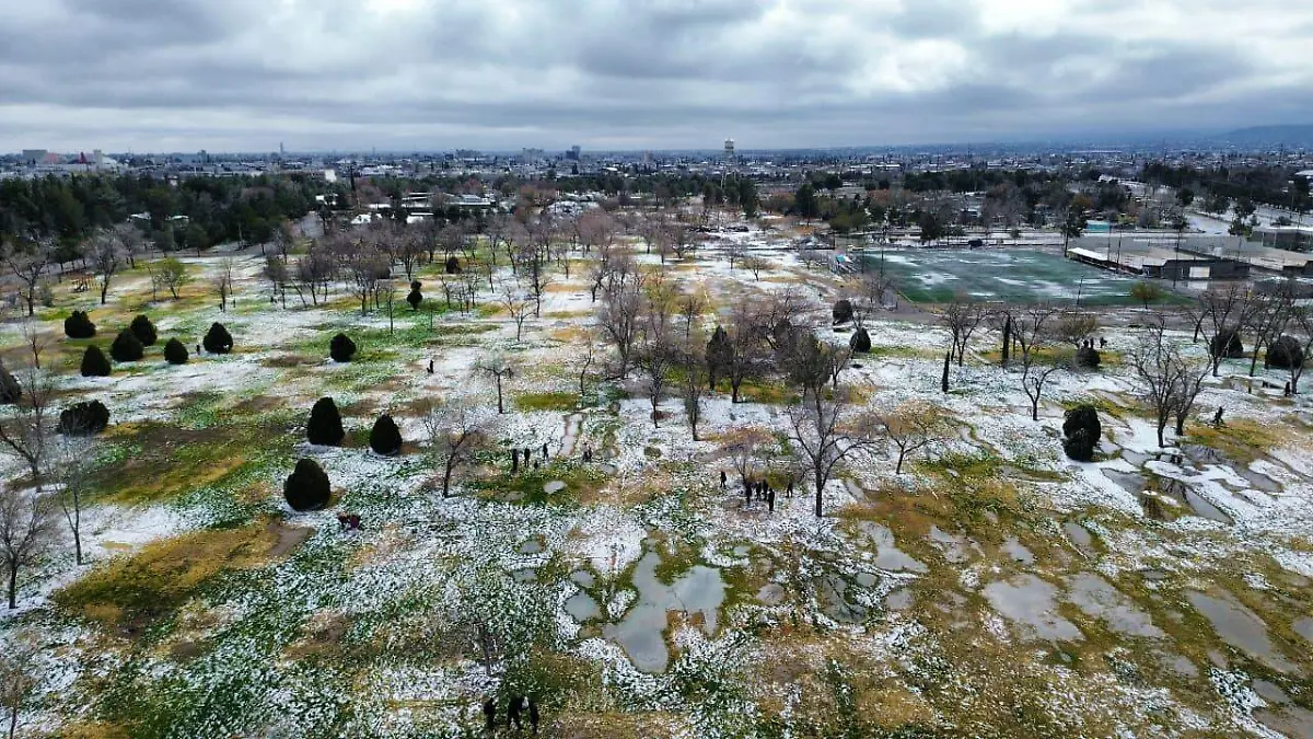 WhatsApp Image 2026-02-09 at 2.51.50 PM