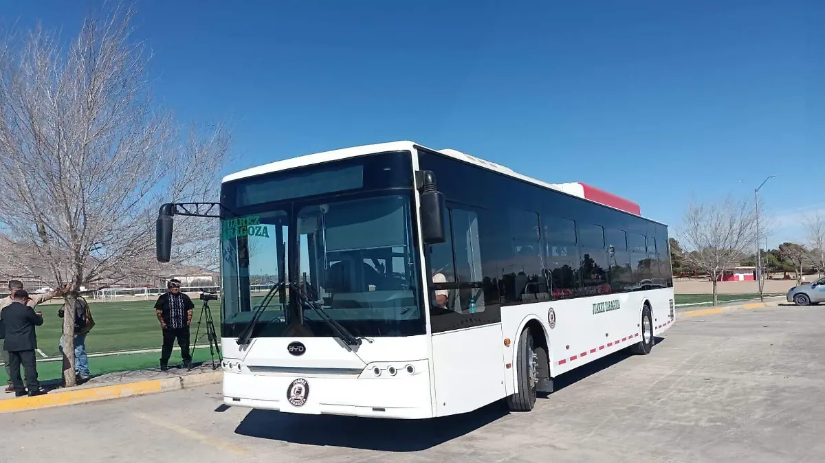 WhatsApp Image 2026-02-10 at 2.06.00 PM (1)