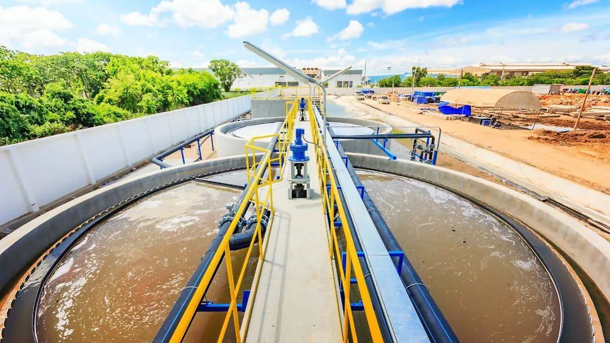 WhatsApp Image 2026-02-18 at 3.28.33 PM