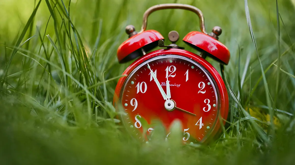 Alexas Fotos Pexels.com