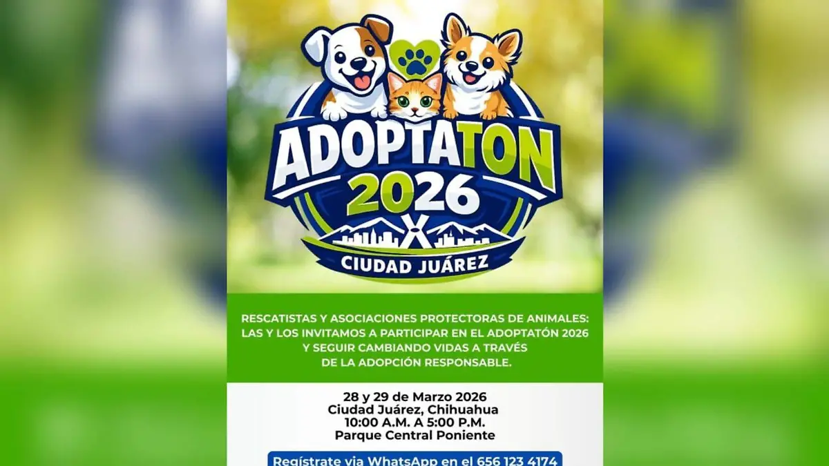 Adoptatón 2026