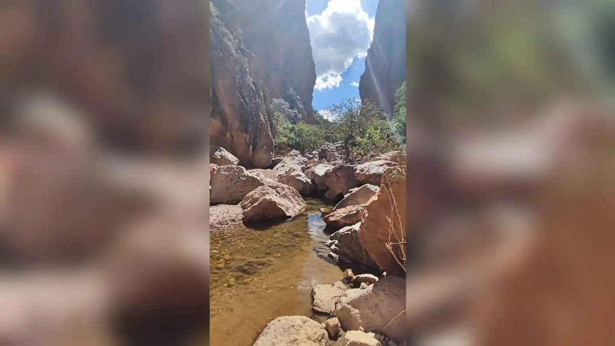 WhatsApp Image 2026-02-25 at 7.12.00 PM