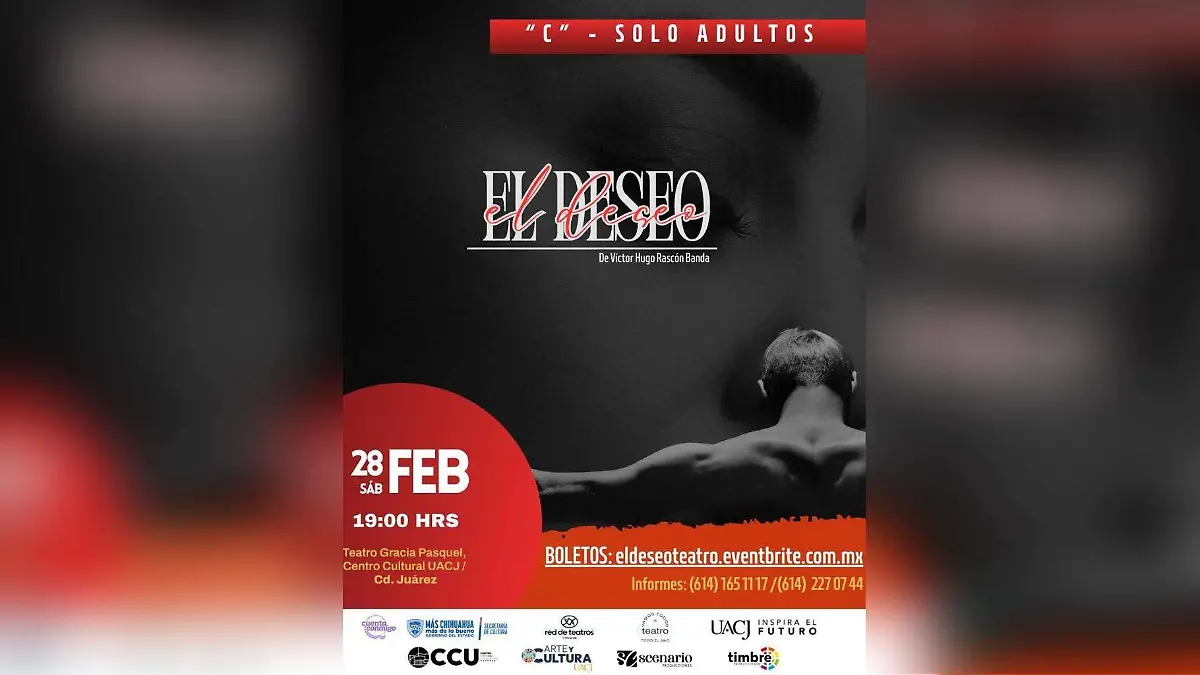 WhatsApp Image 2026-02-26 at 15.34.50-2