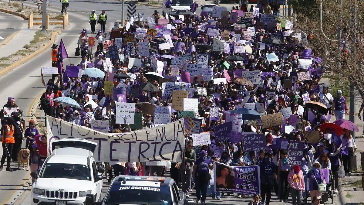 WhatsApp Image 2026-03-08 at 4.07.00 PM