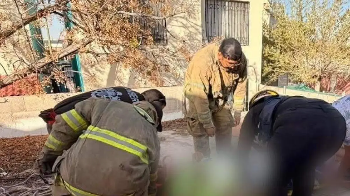 FB_IMG_1773412952620