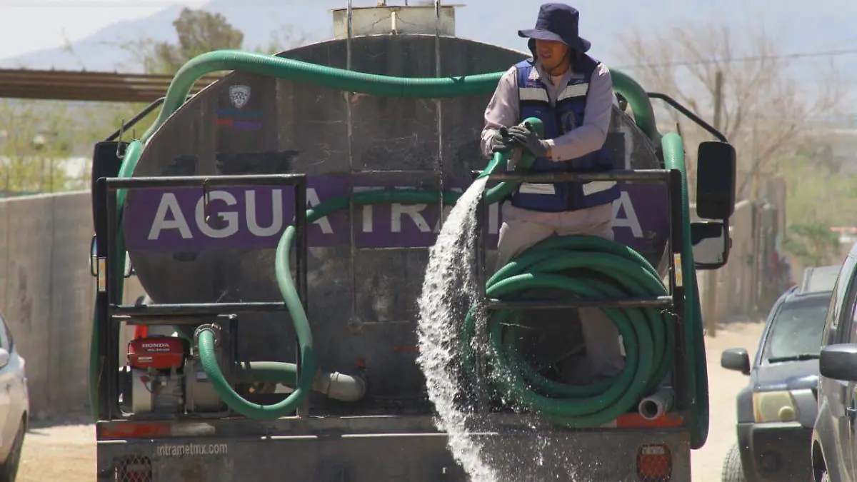 WhatsApp Image 2026-03-13 at 12.50.24 PM