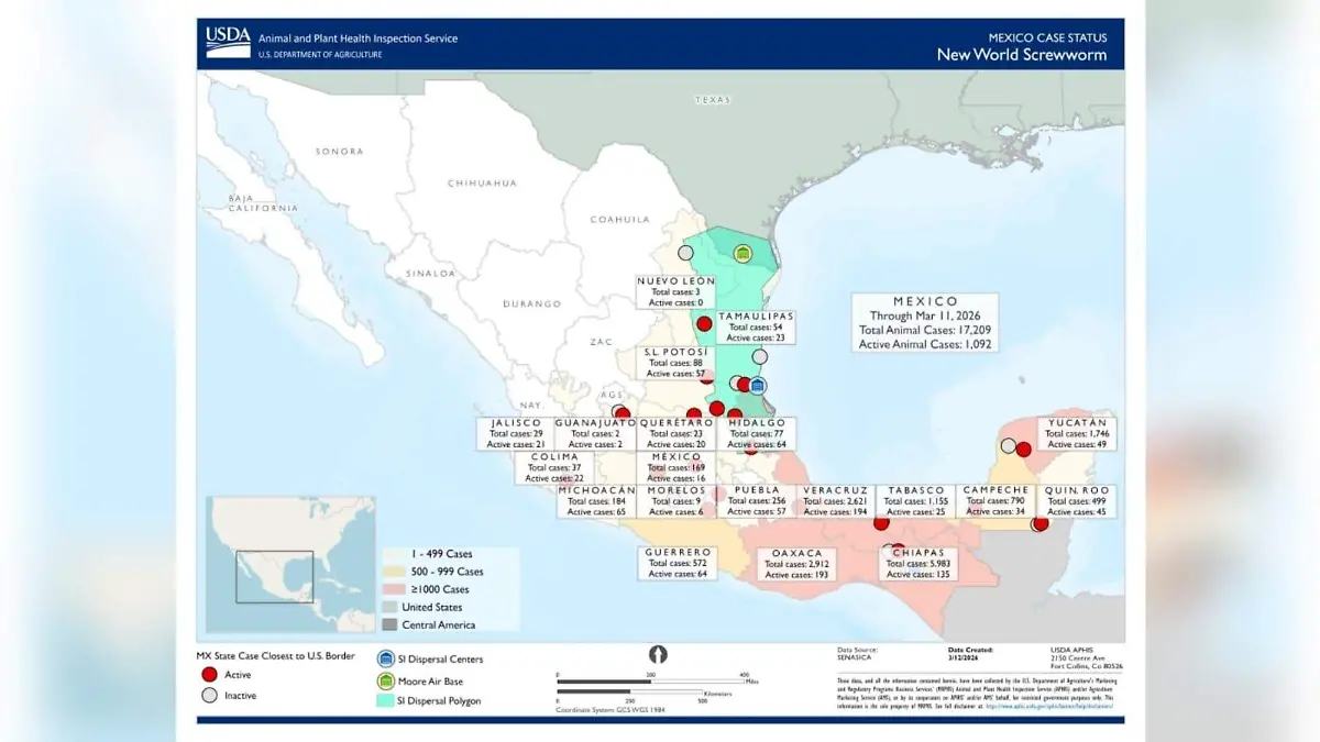 WhatsApp Image 2026-03-15 at 3.20.46 PM