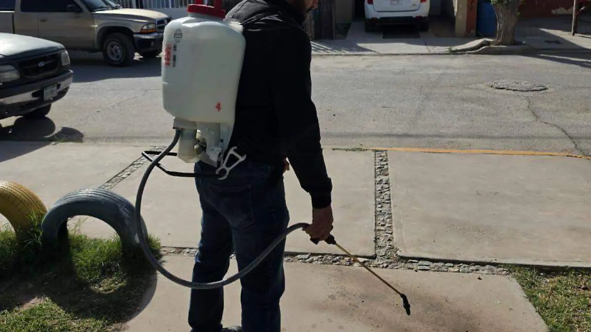 Fumigaciones Ecologia