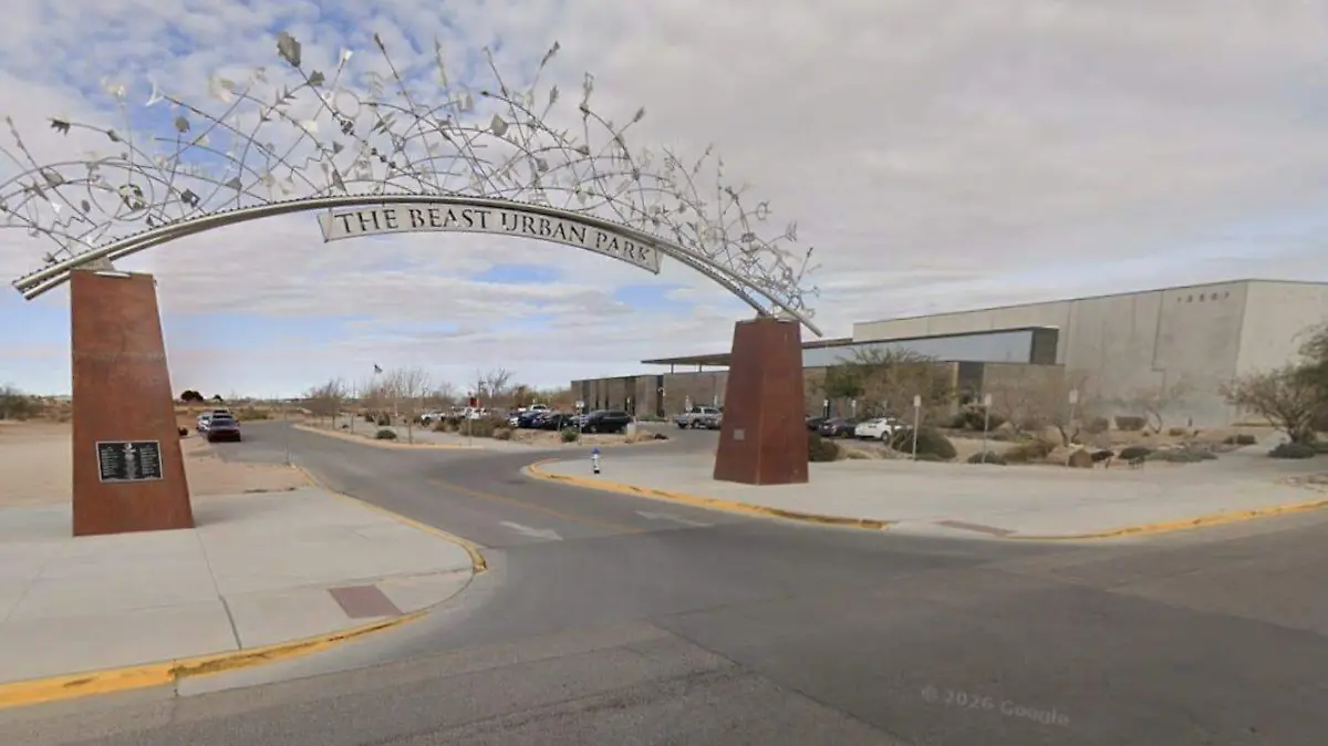 WhatsApp Image 2026-03-17 at 5.46.11 PM