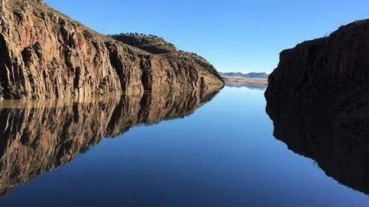 Facebook Ah Chihuahua