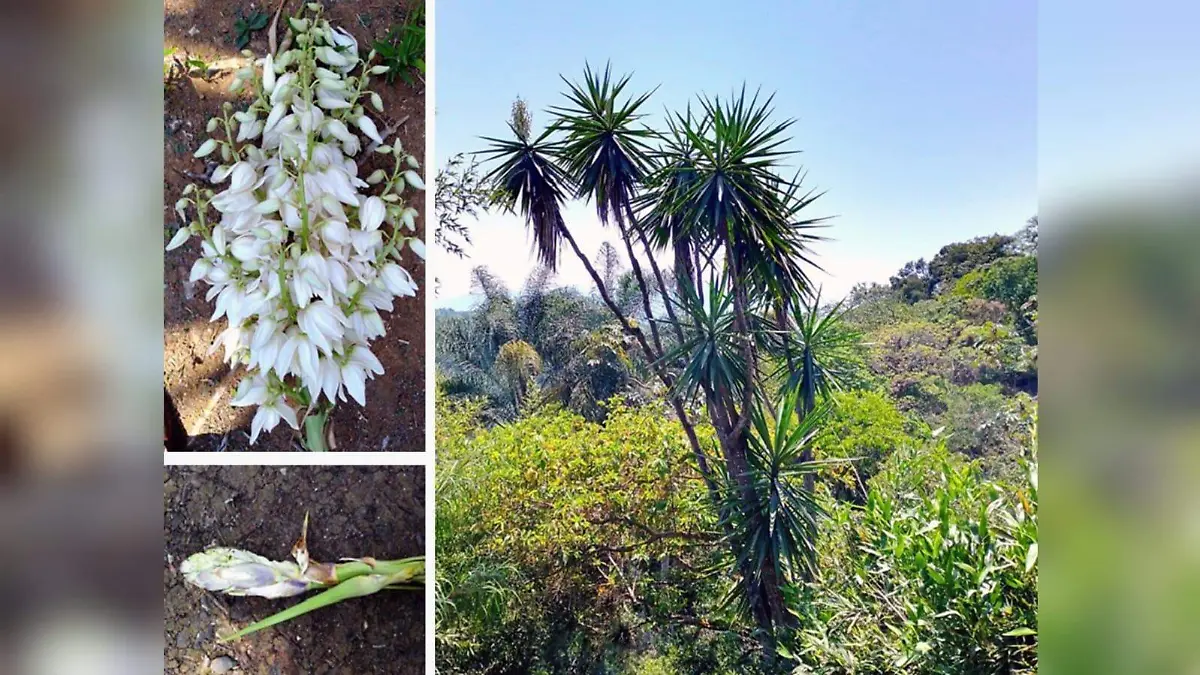 WhatsApp Image 2026-03-27 at 8.20.35 PM