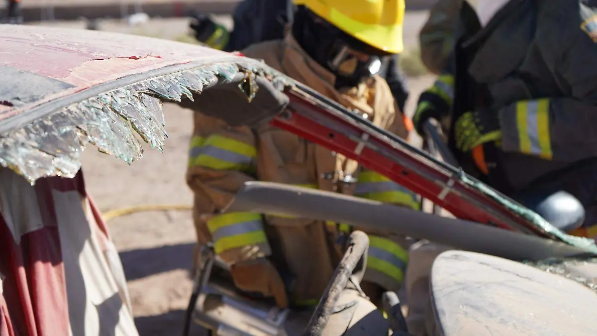 WhatsApp Image 2026-03-28 at 9.30.17 AM