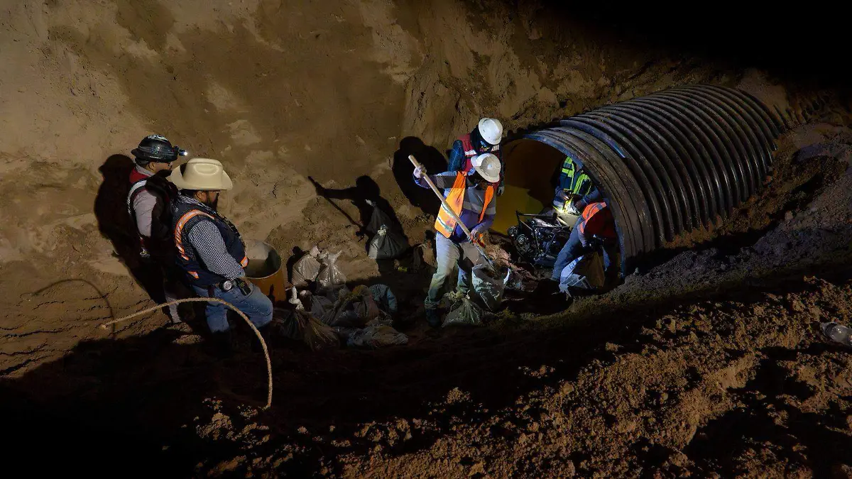 475c7f67-0516-4fc4-ae42-03c2131bd477