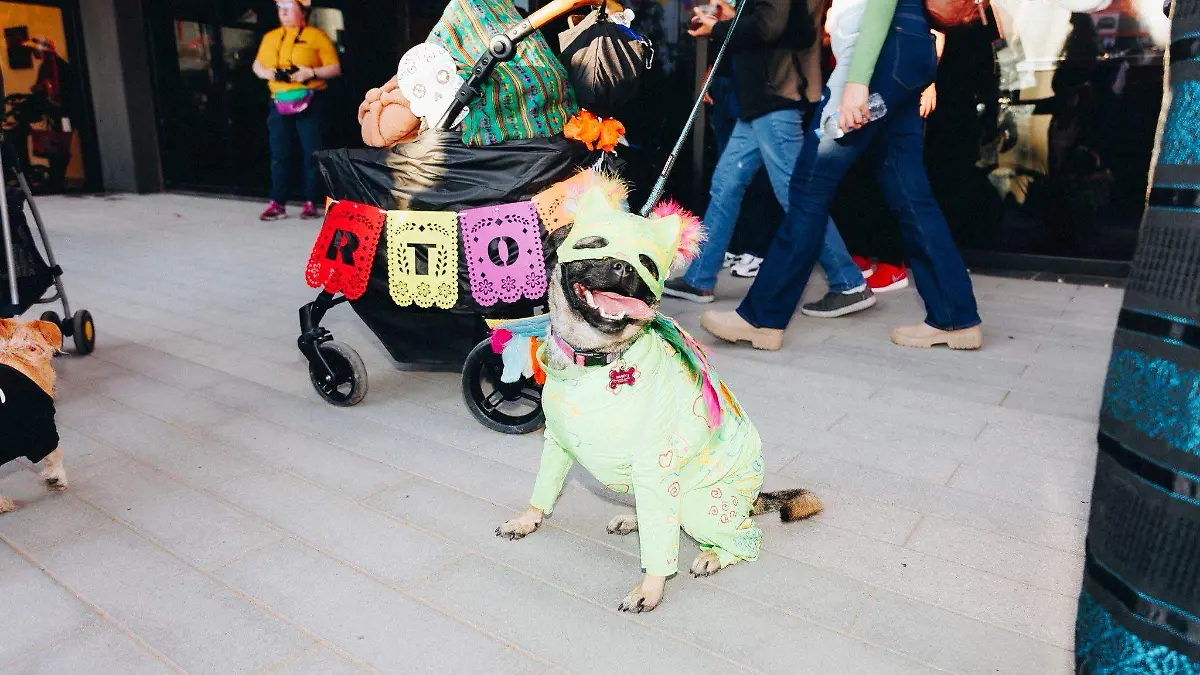 El Paso Mexican American Cultural Center