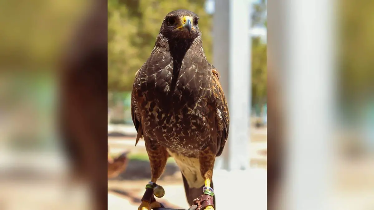 WhatsApp Image 2026-04-01 at 1.54.03 PM