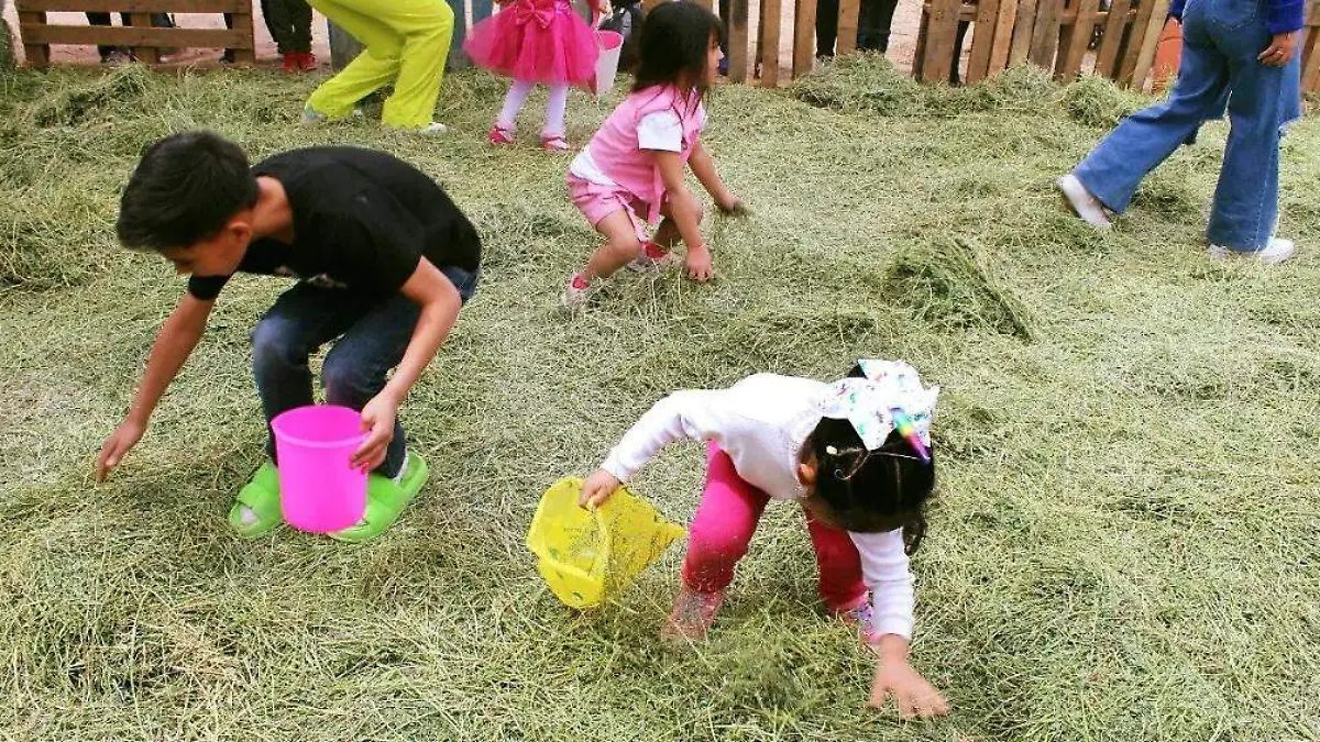 Facebook Parque Central