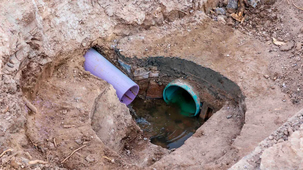 9ccef7b5-f678-4b21-b633-8bd10bfc8135