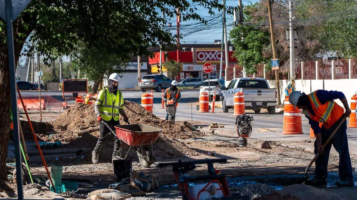 d505f643-ae88-41ad-bf8b-9566fca080e8