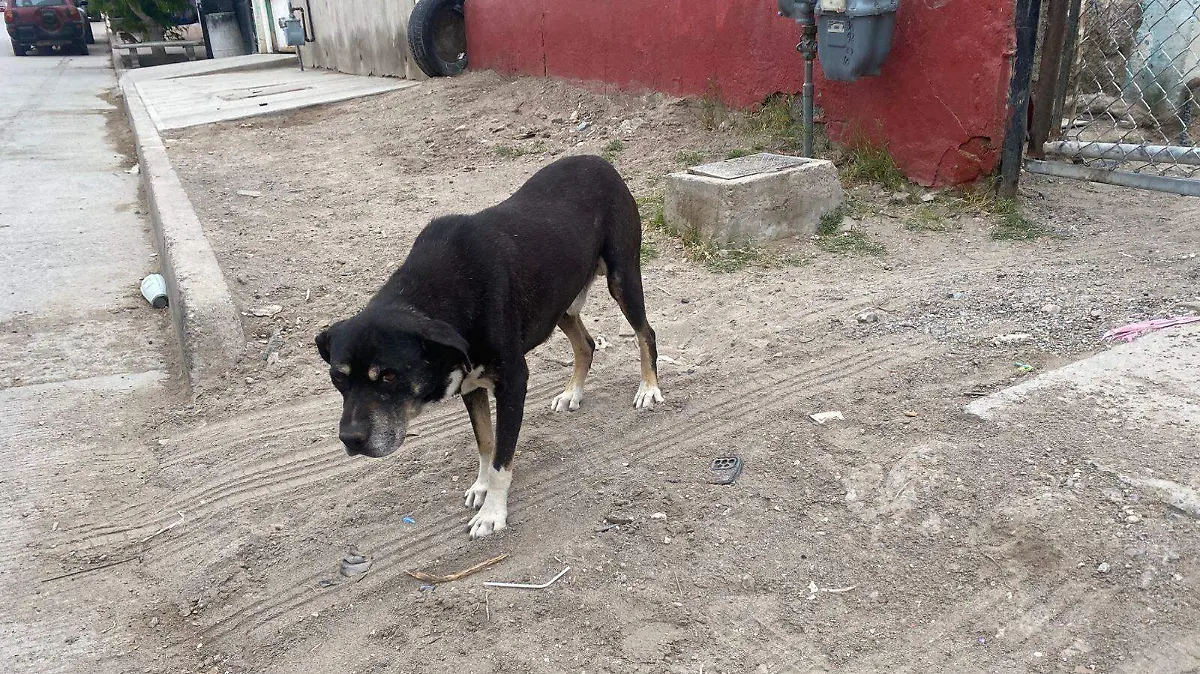 WhatsApp Image 2026-04-11 at 2.58.31 PM