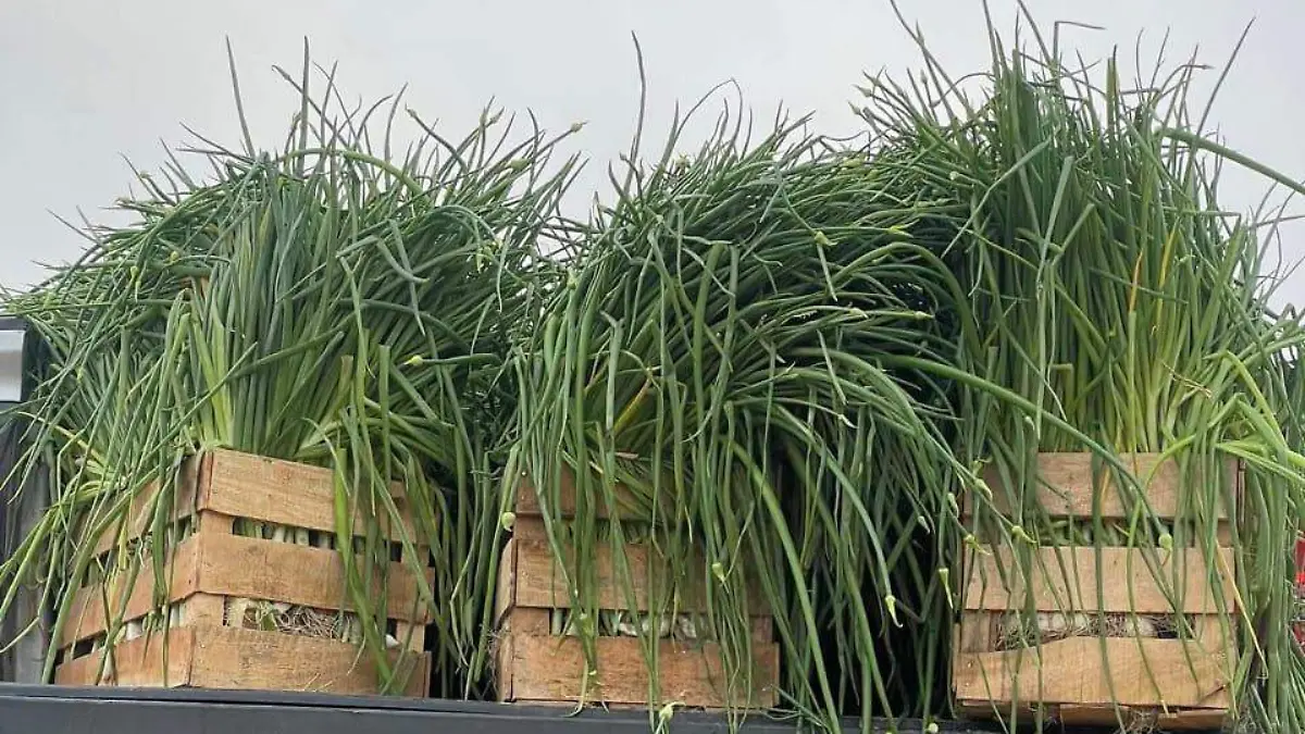 Un éxito la primera Caldotada en Lagunas de Sapelló de Samalayuca