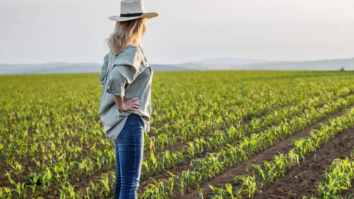 texas fertilizantes 2