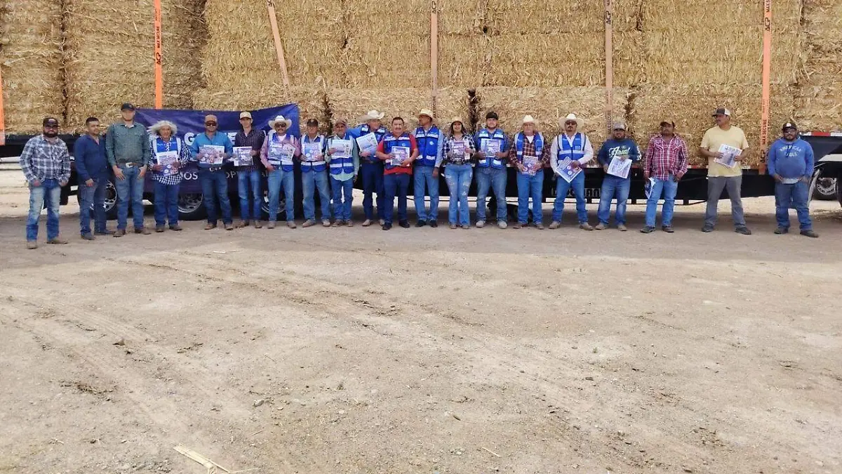 Apoyos a la ganaderia