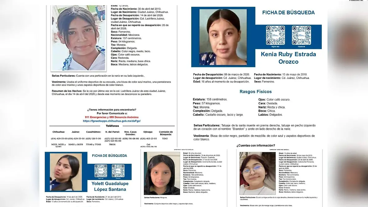 Desaparecidas (1) (1)