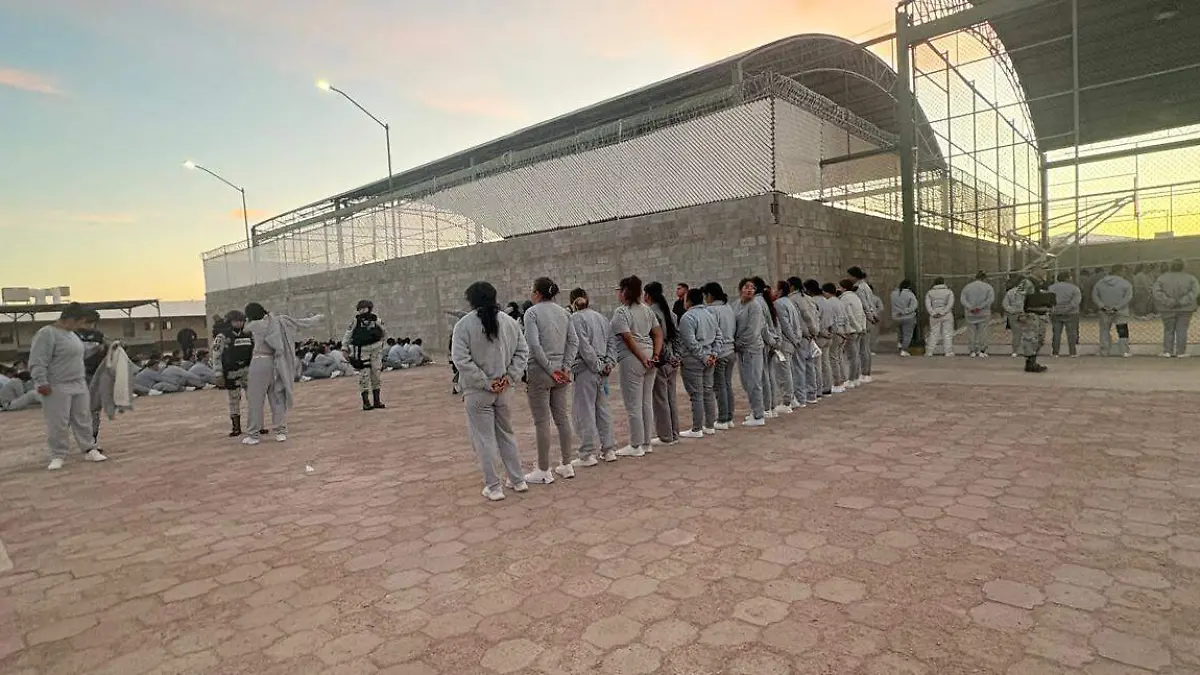 WhatsApp Image 2026-04-22 at 4.33.57 PM (1)