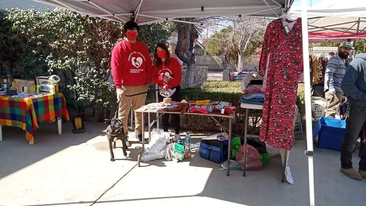 BAZAR CORAZONES NOBLES 22