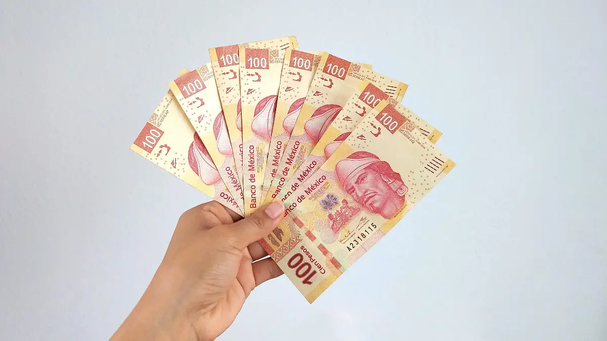 Pago utilidades