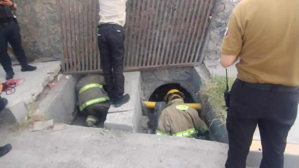 Proteccion Civil rescate animal