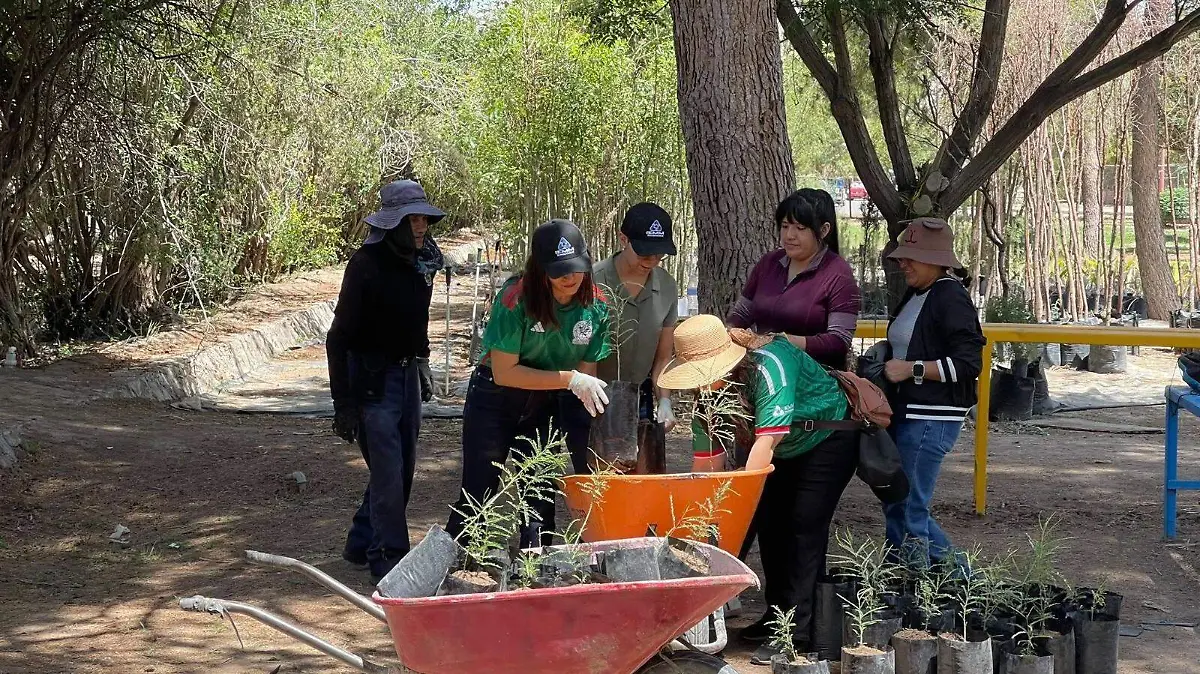 Voluntarios Vivero