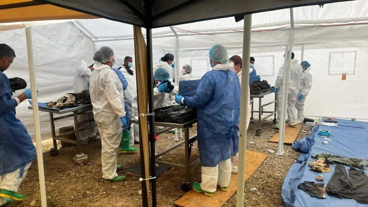 PERITOS FORENSES 2