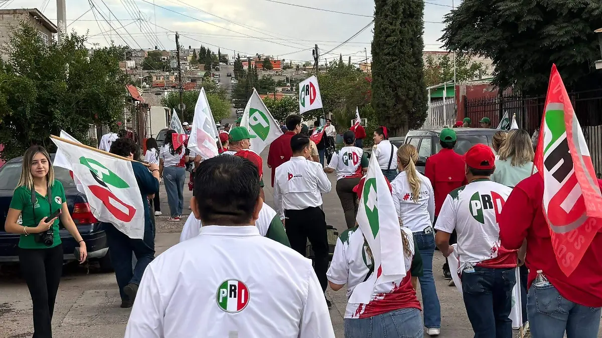 defensores pri