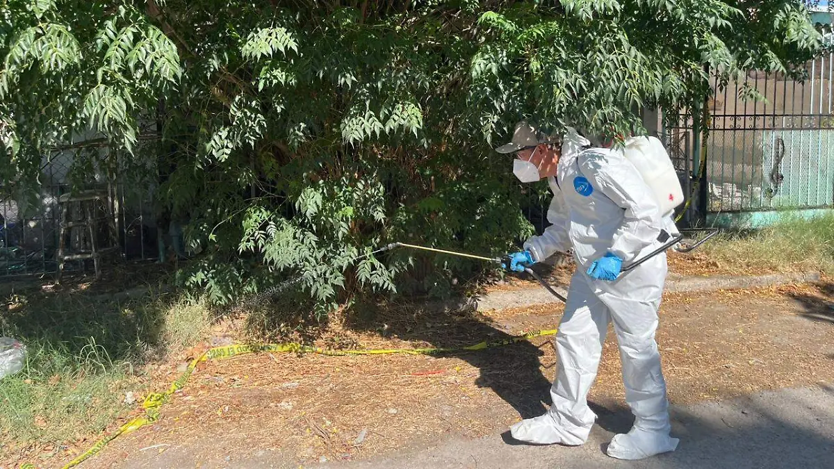 Fumigaciones col Hidalgo